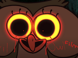 Evil Owl Film
