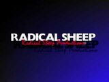 Radical Sheep