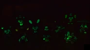Most of the GitD series 2 Minis in the dark.