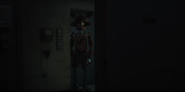 Foxy staring down a hallway.