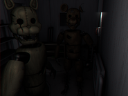 The Rat and Cat.