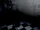 CAM07