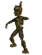 C8.png