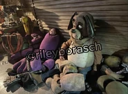 Christian in the Dog suit.