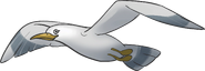 Foxy seagull01 Prop