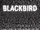 Blackbird (Story)