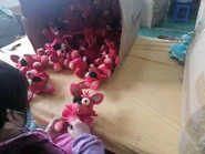 SansheeWipPlush8.jpg (67 KB)