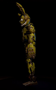 Springtrap in the gallery (side).