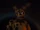 Spring Bonnie