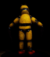 Withered Chica in the gallery (back).