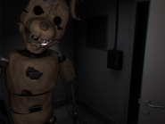 Withered Rat staring at the Camera