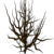 Árbol/arbusto muerto, muchos de estos se encuentran en el mapa