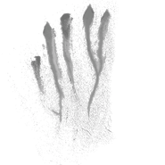 Claw marks of Mimic's old right hand.
