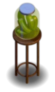 The Pickles as they are placed.