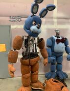 Bonnie's head on an head with Freddy limbs; with Bonnie's suit next to it.