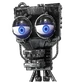 Bare Endo