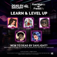 Learn and level up graphic.