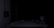 The Central Hall in the dark.