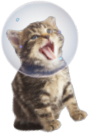 The kitten with a space helmet that appears in the game (from the game Kitty in the Crowd).