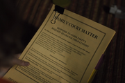 Family Court Matter papers