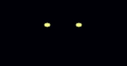 BabyEyes.png (1 kB) Ojos de Baby en el final de la segunda actualización de FNaF World.