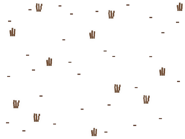 Dead Grass.png (23 KB) Texture of some dead grass.