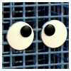 No. 1 Crate's icon in the Catalog.