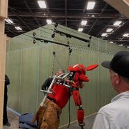 Foxy been hooked up to the ceiling rail.