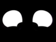 Freddy POV