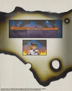 Vanessa looking down from the rooftop.