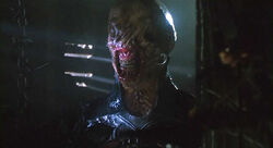 Chatterer Freddyknifefingers Wiki Fandom