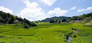 Modern Iwami - Iwatobi supports farming, fishing and tourism