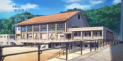 Starting Days (15)