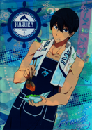 Free!-Eternal Summer- Snacks clear file - Haruka