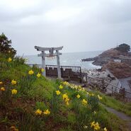 Torii mark the divide between the sacred and the ordinary