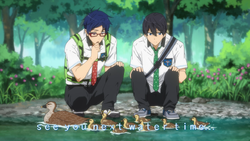 Free Eternal Summer Free Wiki Fandom Free Eternal Summer Free Wiki Fandom