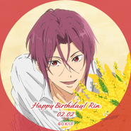 Thanks! Birthday-Our Special Day - SNS icon - Rin