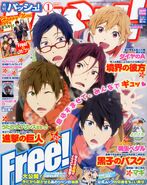 PASH! cover - Jan 2014