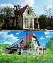 Totoro house