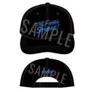 Theatrical goods - cap