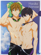 Best friends clear file