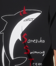 Samezuka club shirt ref