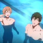 Makoto Tachibana Image Gallery Free Wiki Fandom See more ideas about makoto tachibana, makoto, free iwatobi. makoto tachibana image gallery free