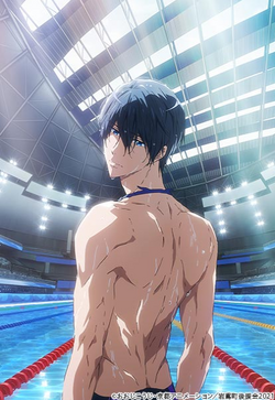 Free! Iwatobi Swim Club - 3D Postcard - Haruka / Makoto / Rin