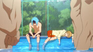 Iwatobi 16