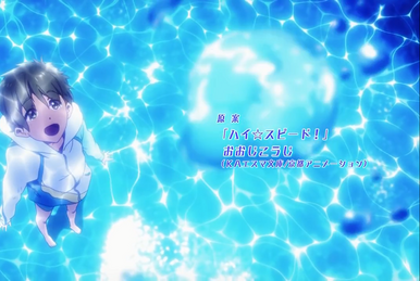 496 Free! Eternal Summer Characters Mook vol.5 Haruka & Rin