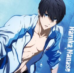 Free!-Eternal Summer- Character Song Vol.1 Haruka Nanase