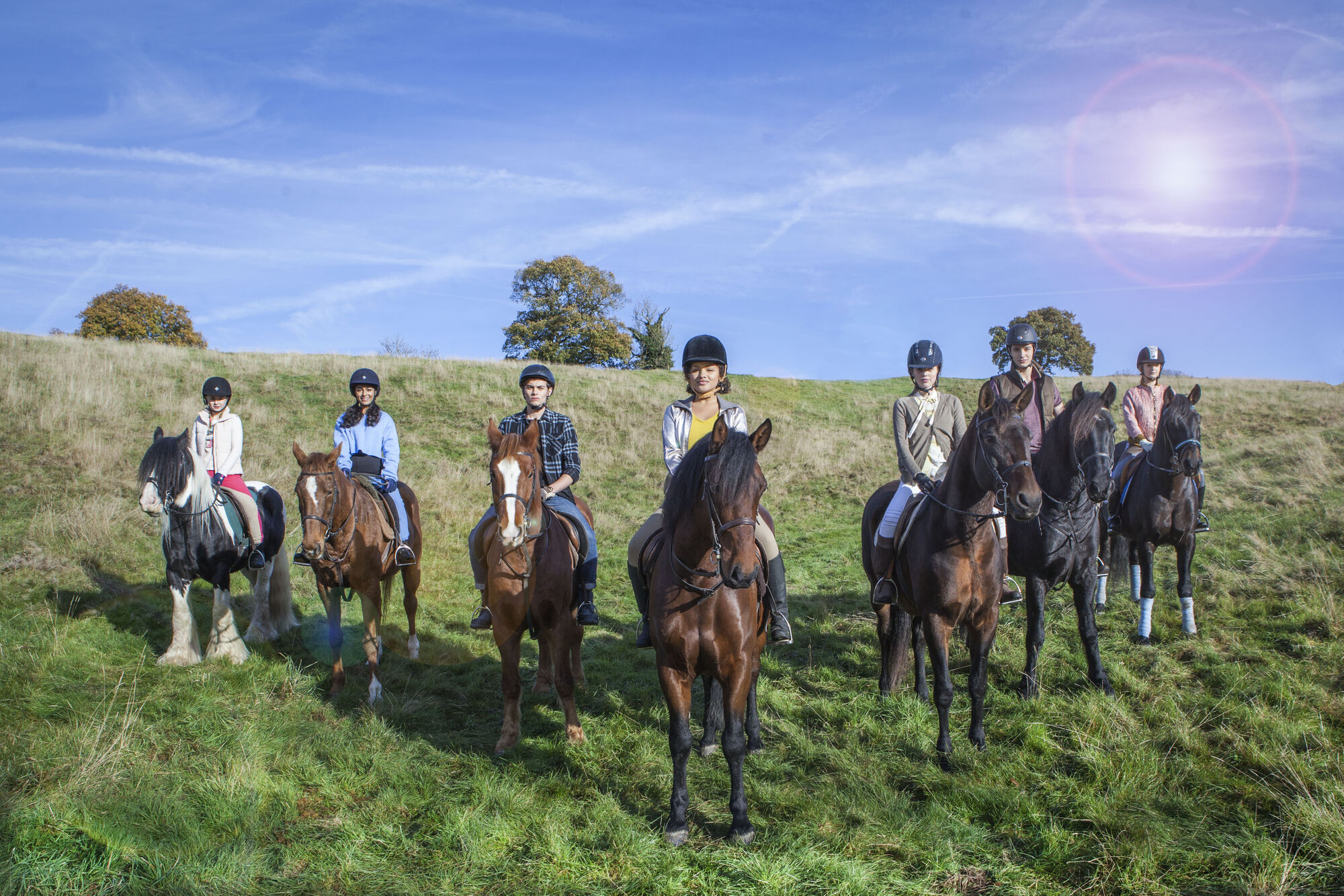 Bright Fields Free Rein Wiki Fandom