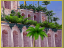 Hanging gardens.png