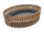 B.colosseum.png